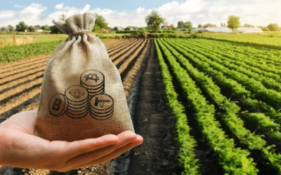 How Liquidity Pools Enhance Yield Farming