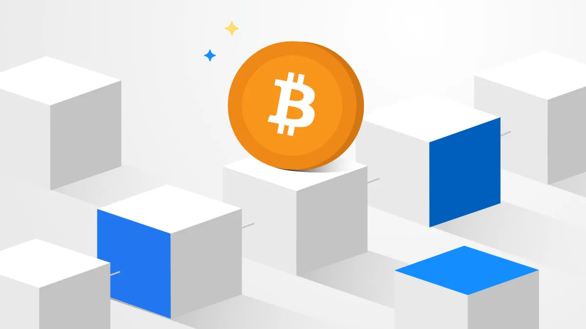 Before You Invest: Bitcoin (BTC) Before You Invest: Bitcoin (BTC)