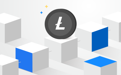 Before You Invest: Litecoin (LTC)