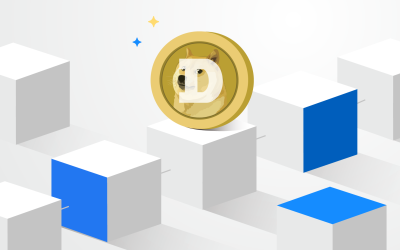 Before You Invest: Dogecoin (DOGE)