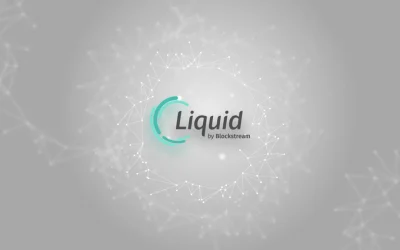 Issuing Assets on the Liquid Network