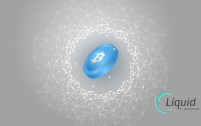 What Is the Liquid Network?