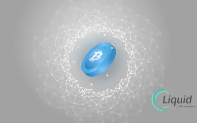 What Is the Liquid Network?