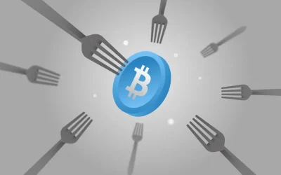 Understanding Forks and Their Implications
