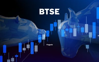 BTSE Delves into the Dynamics of Bull and Bear Flags in Latest Crypto Report