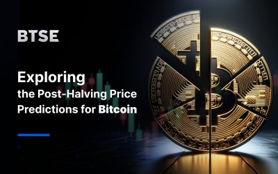 Exploring the Post-Halving Price Predictions for Bitcoin: Expert Edition