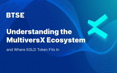 Understanding the MultiversX Ecosystem and Where EGLD Token Fits In