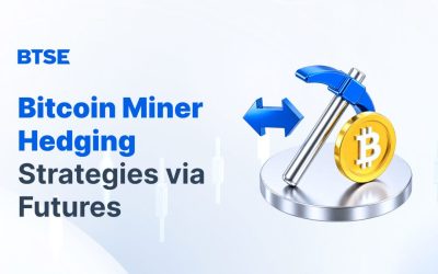 Bitcoin Miner Hedging Strategy Using BTC-Perp