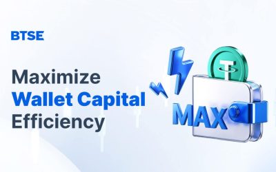 Maximize Wallet Capital Efficiency