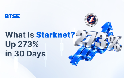 What Is Starknet (STRK) Token? Starknet’s L2 Coin Up 273% in 30 Days